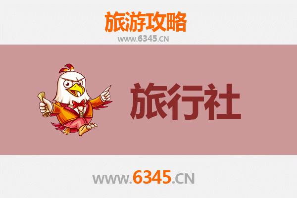 白沙邦溪镇本地旅行社推荐 | 深度体验黎族文化与自然奇观