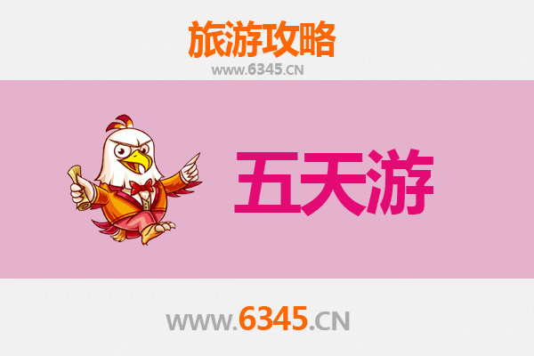 白沙邦溪镇五天四夜深度游攻略：雨林探险与黎族文化体验